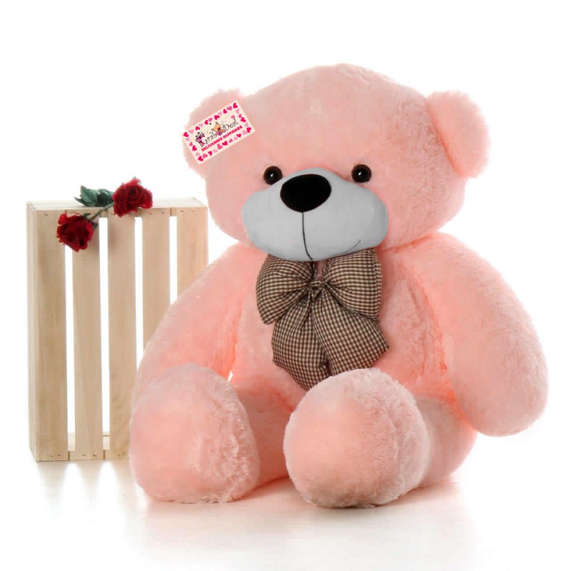 teddy bear with cost