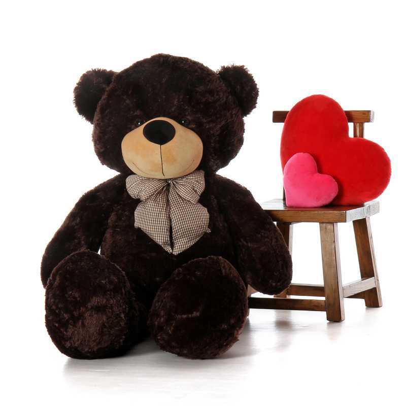 chocolate brown teddy bear