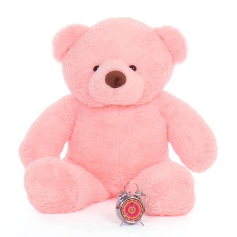 4 feet pink teddy bear