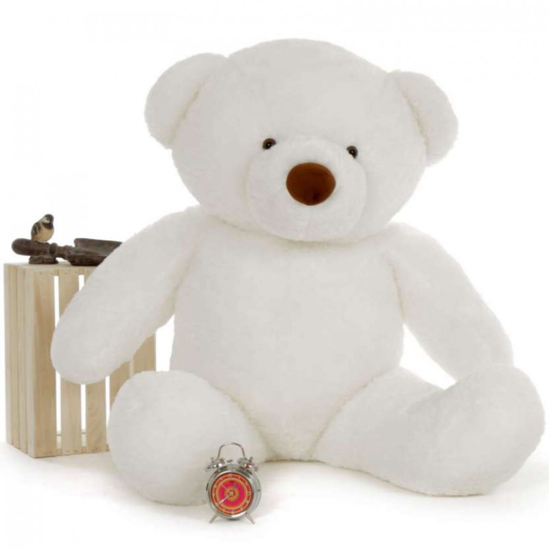 teddy bear 5 feet lowest price online
