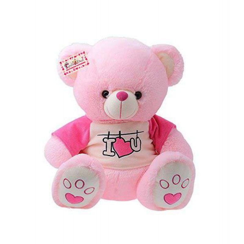 pink cute teddy bear