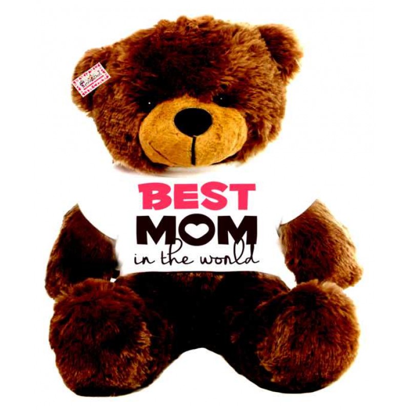 best teddy in the world