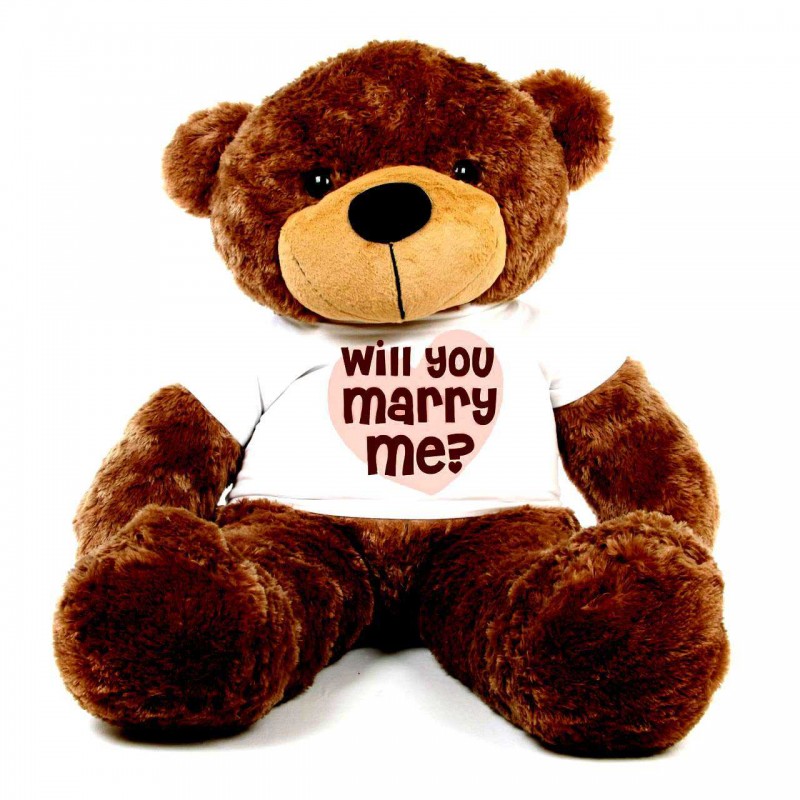 will you marry me teddy bear
