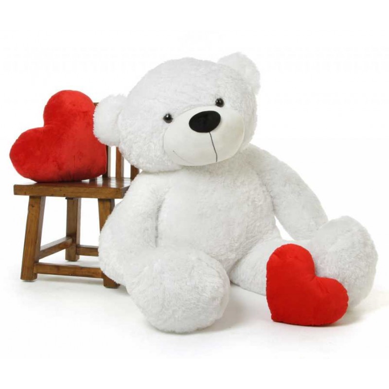 white teddy bear online shopping