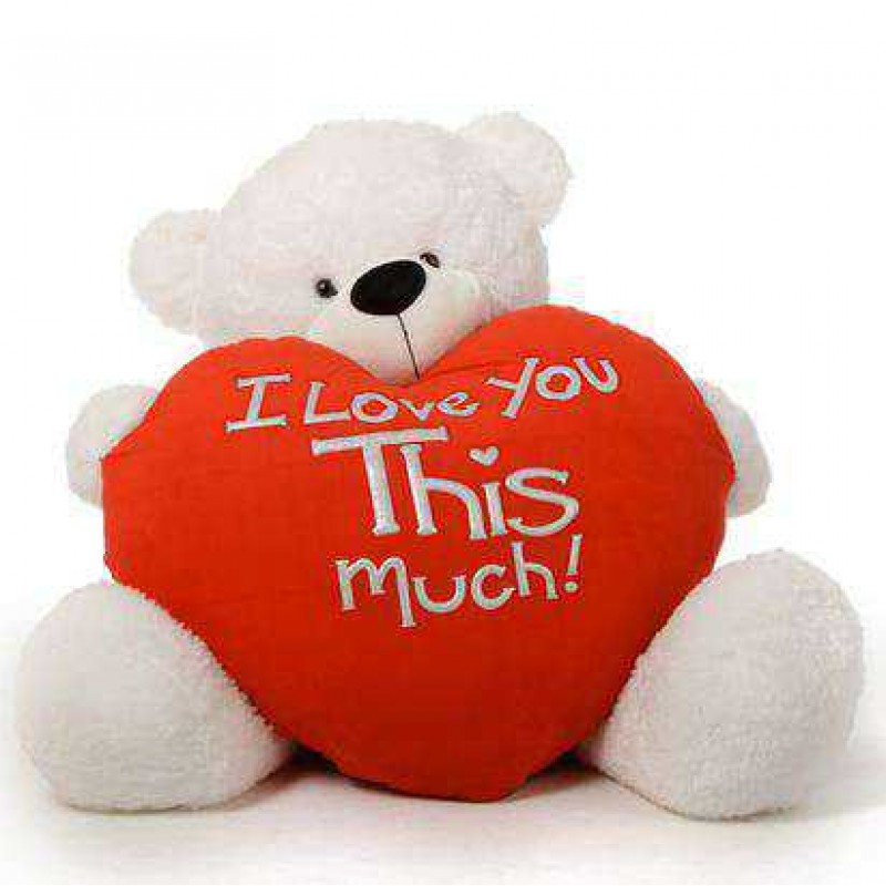 teddy bear for lover