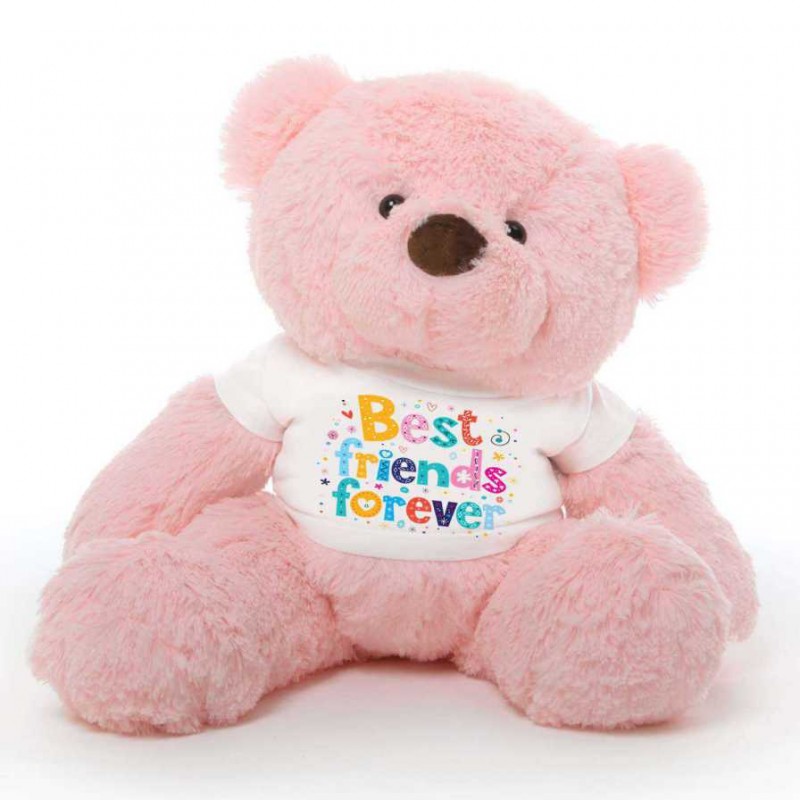 best friend teddy bear gift