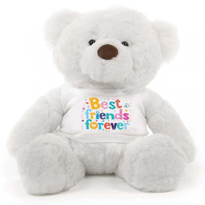 friends forever teddy bear