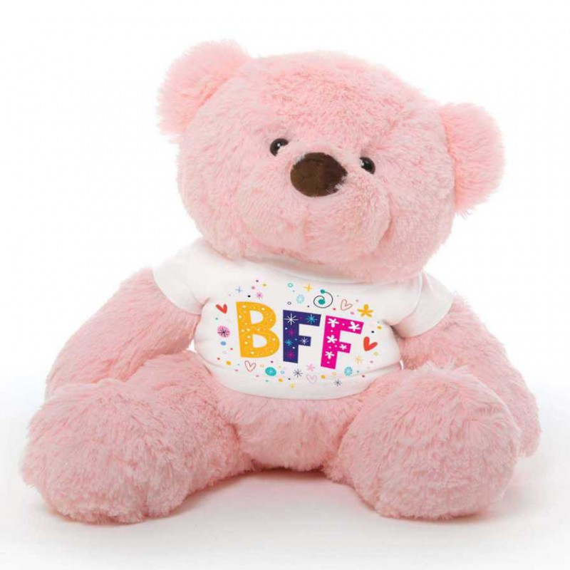 bff teddy