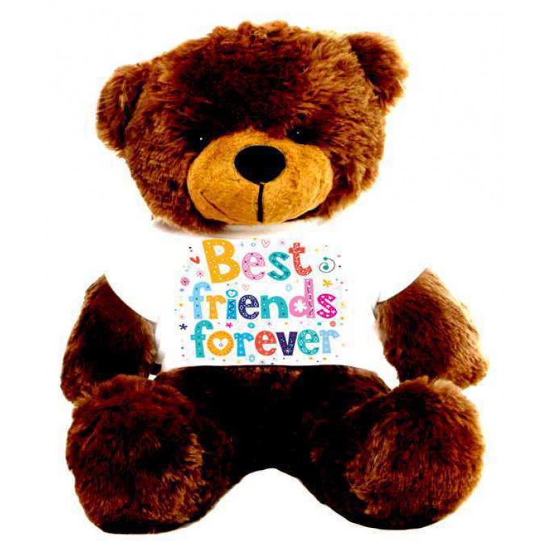 friends forever teddy bear