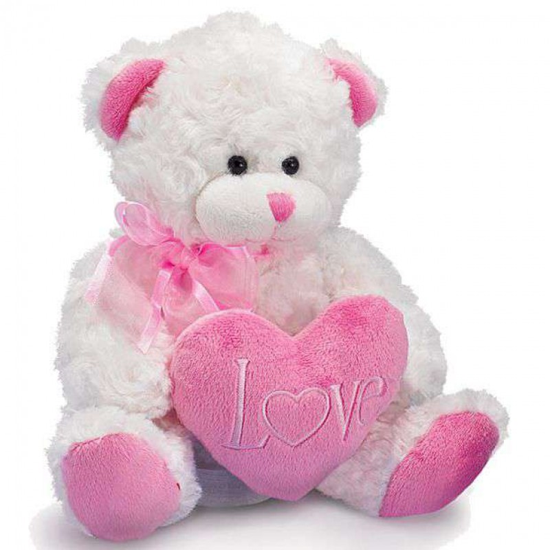 Buy Cute 15 Inch White Teddy Bear holding pink LOVE Heart Online at ...