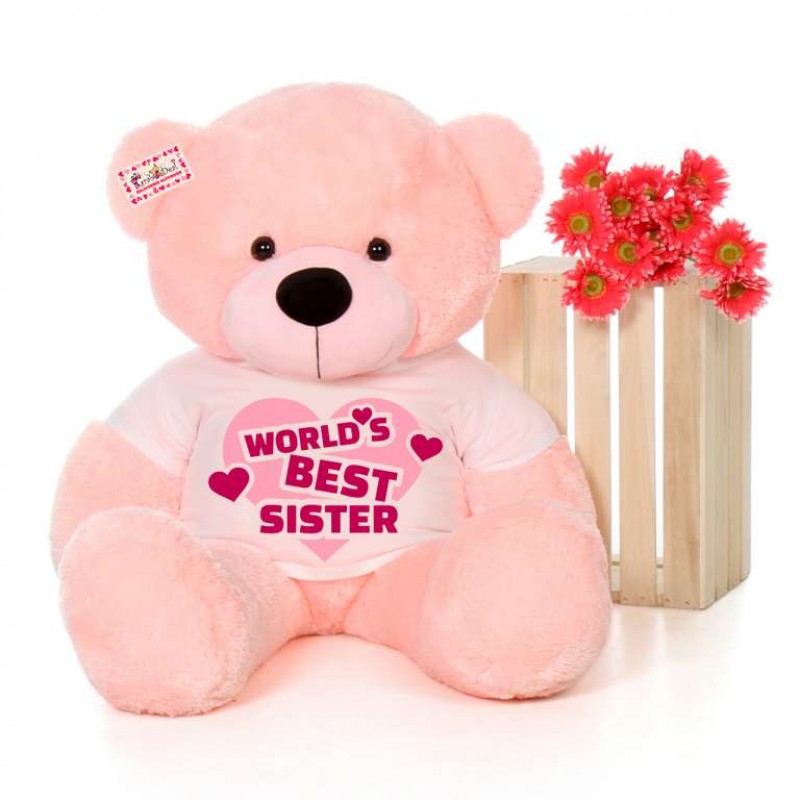 Buy 4 feet big pink teddy bear wearing Worlds Best Sister T-shirt